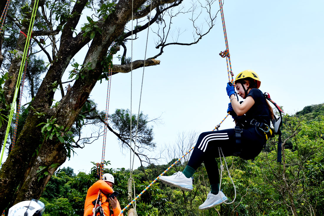 【新北】萬里樹攀+垂降體驗1日