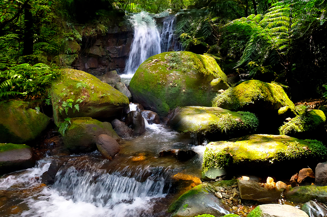 【新北】《溯溪+樹攀+露營》戶外體驗3日