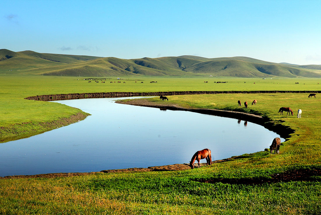  【東北】2026東北漠河北極村、內蒙古呼倫貝爾大草原環線<font color="red">自由行</font>15日