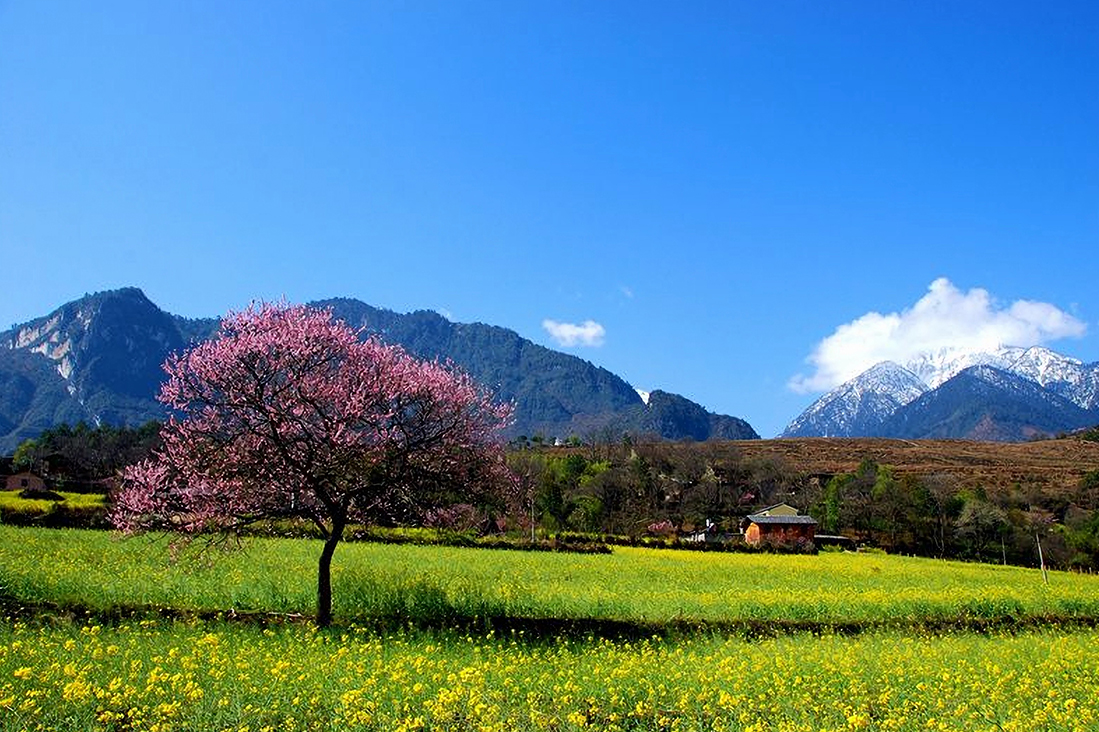 【雲南】2026花之季．怒江大峽谷<font color="red">自由行</font>12日