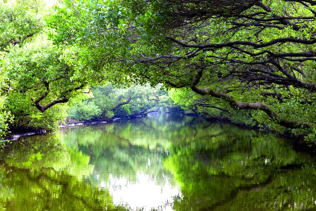 【台南】老爺行旅3日