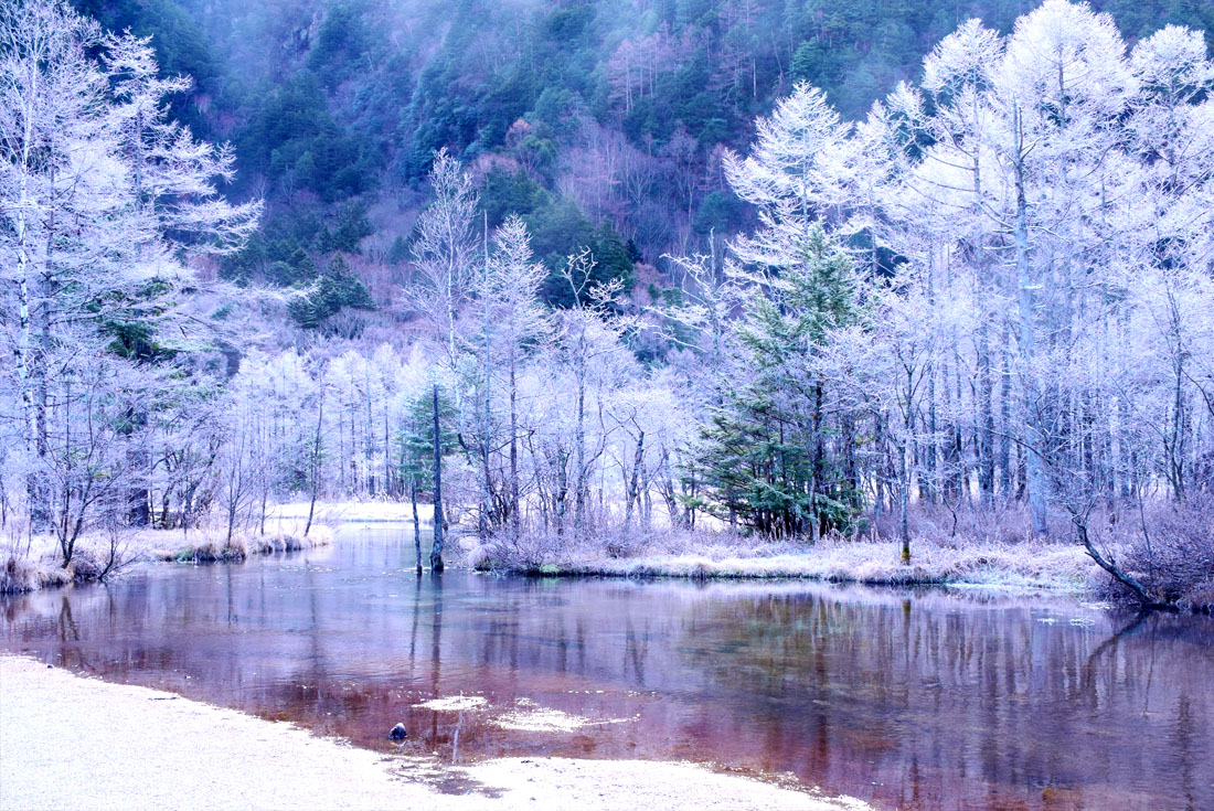 【日本中部】2026上高地夢幻雪地健走．新穗高纜車樹冰5日