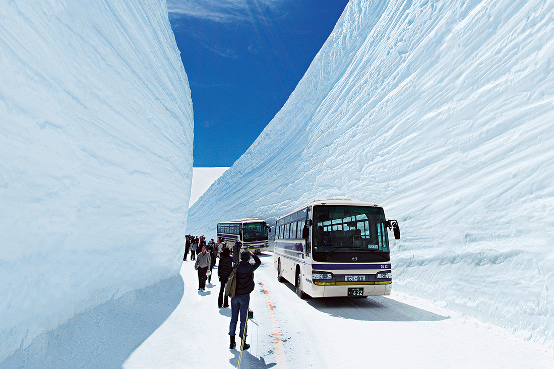 季節限定~黑部立山雪壁‧白川鄉合掌村‧天龍峽‧名花之里花季‧溫泉 五日遊(名古屋進出)