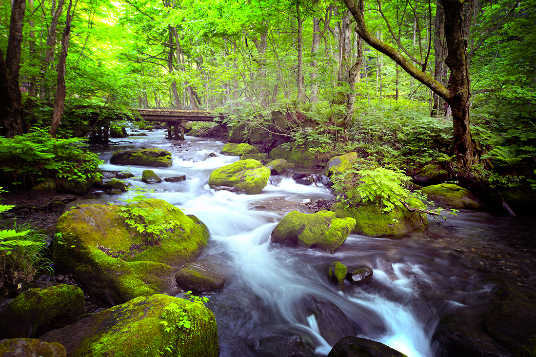 【日本東北】翠綠の奧之細道☆奧入瀨美溪深度健走5日