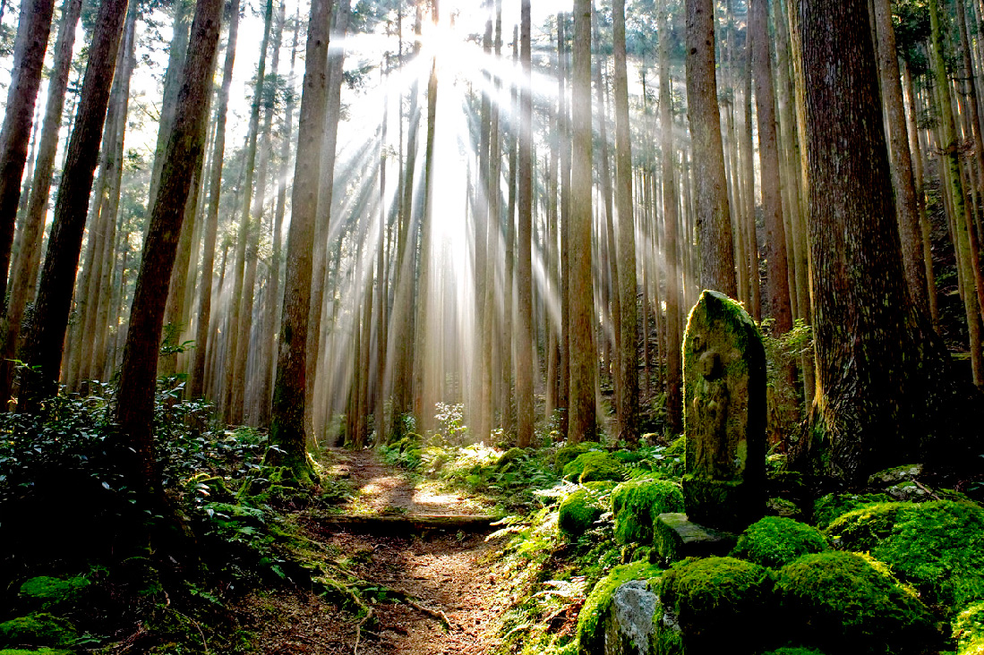  【日本關西】挑戰雙朝聖證書~熊野古道．御在所岳纜車5日