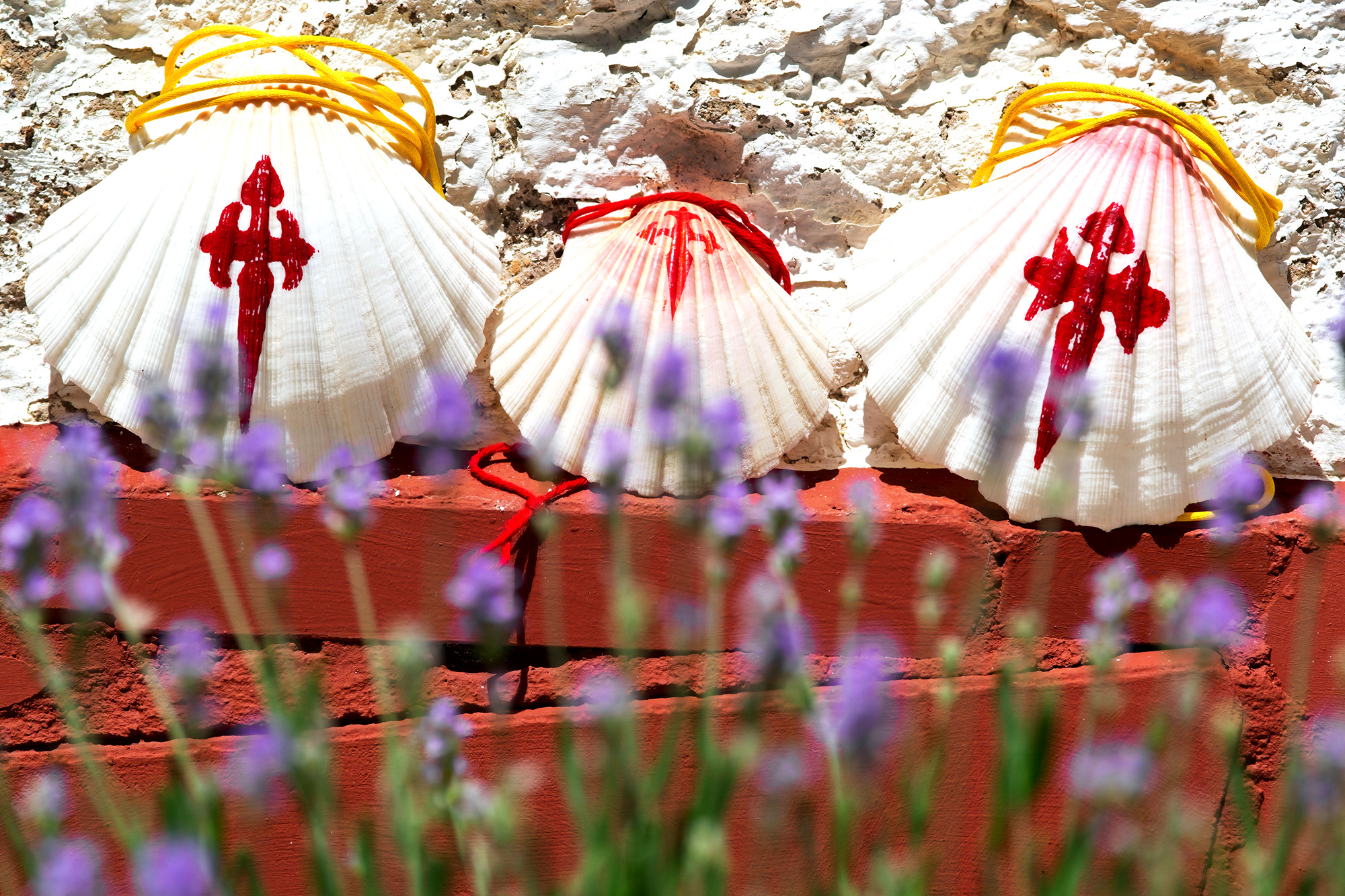 【葡萄牙】2026葡萄牙朝聖之路16日