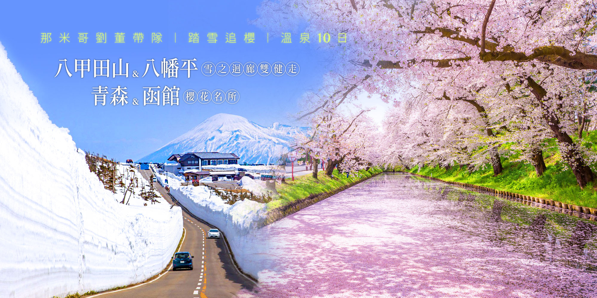 跟著劉董去賞櫻